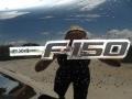 2011 Ebony Black Ford F150 FX4 SuperCrew 4x4  photo #13