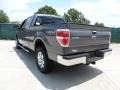 Sterling Grey Metallic - F150 Texas Edition SuperCrew 4x4 Photo No. 5