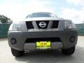 Silver Lightning Metallic - Xterra S Photo No. 9