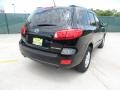Ebony Black - Santa Fe GLS Photo No. 3