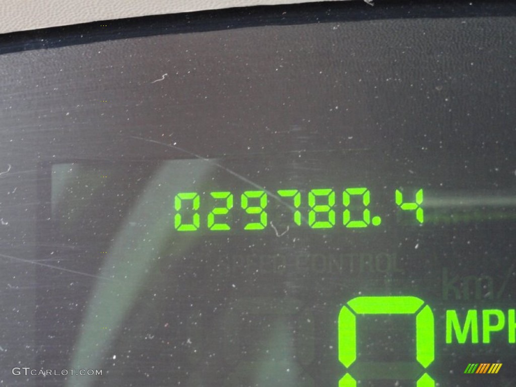 2004 Grand Marquis LS - Silver Birch Metallic / Light Flint photo #22