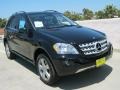 Black - ML 350 4Matic Photo No. 1
