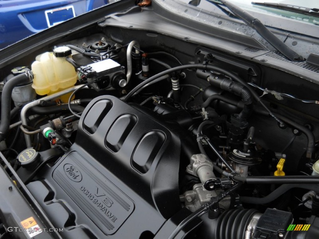 2004 Ford Escape XLS V6 3.0L DOHC 24 Valve V6 Engine Photo #52165627