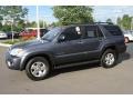 2008 Galactic Gray Mica Toyota 4Runner SR5 4x4  photo #5