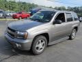 Graystone Metallic - TrailBlazer LT 4x4 Photo No. 5