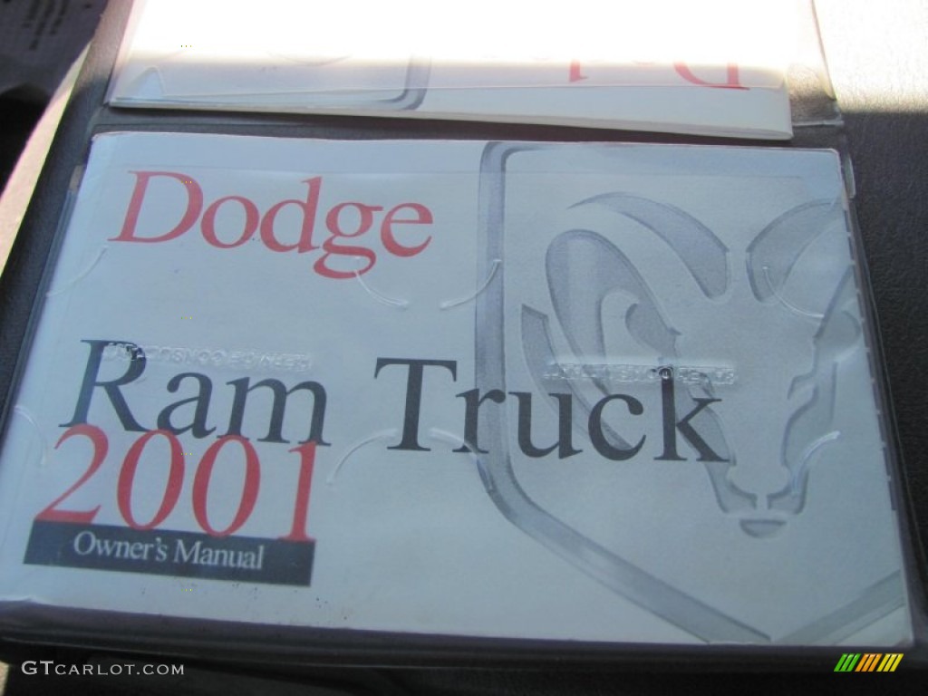 2001 Ram 1500 SLT Regular Cab 4x4 - Bright White / Mist Gray photo #4