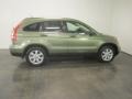 2009 Green Tea Metallic Honda CR-V EX 4WD  photo #11