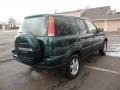 2001 Clover Green Pearl Honda CR-V Special Edition 4WD  photo #3