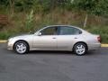 Burnished Gold Metallic - GS 300 Photo No. 2
