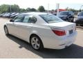 Alpine White - 5 Series 528xi Sedan Photo No. 7
