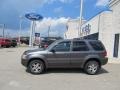 Dark Shadow Grey Metallic - Escape Limited 4WD Photo No. 2
