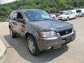 2004 Dark Shadow Grey Metallic Ford Escape Limited 4WD  photo #4