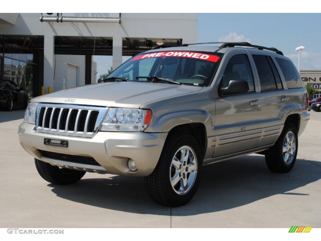 2004 Grand Cherokee Limited - Light Pewter Metallic / Taupe photo #1