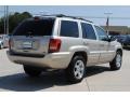 2004 Light Pewter Metallic Jeep Grand Cherokee Limited  photo #5