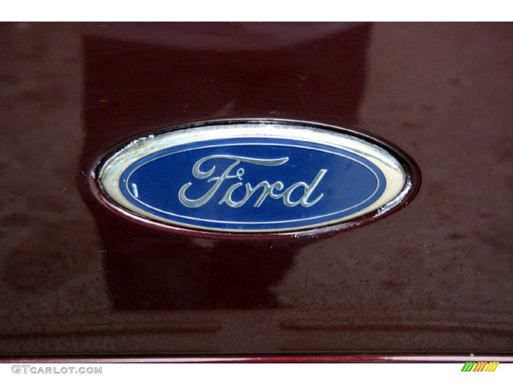 2004 F350 Super Duty King Ranch Crew Cab 4x4 - Chestnut Brown Metallic / Castano Brown Leather photo #17
