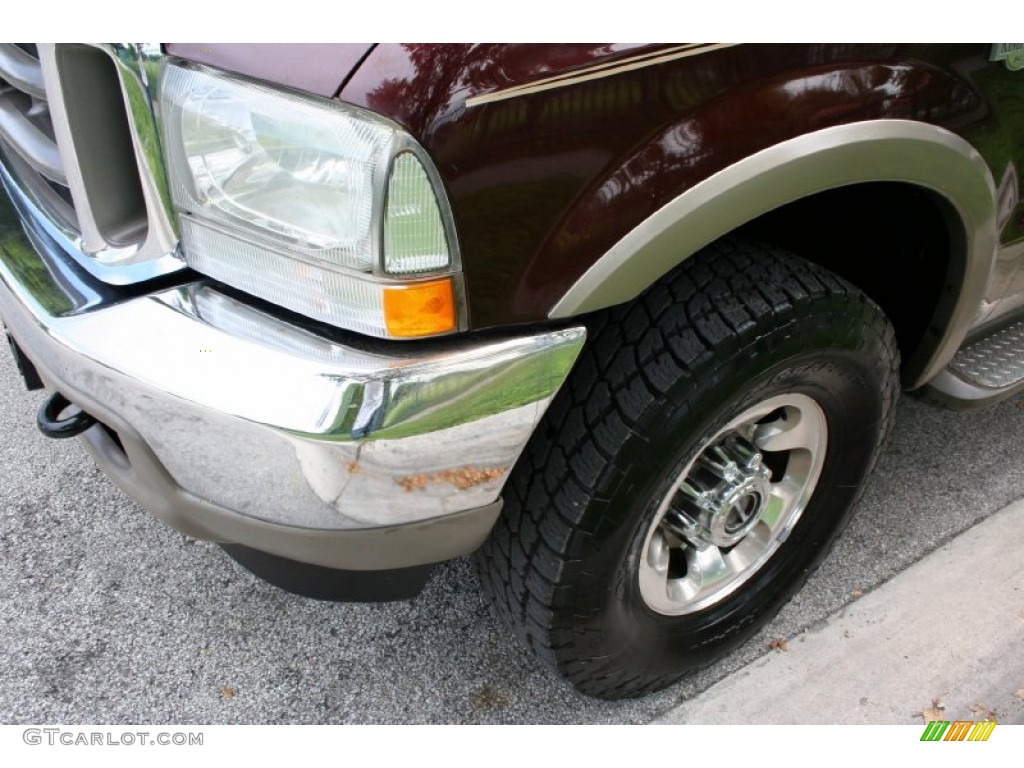 2004 F350 Super Duty King Ranch Crew Cab 4x4 - Chestnut Brown Metallic / Castano Brown Leather photo #22