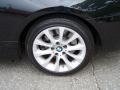 2008 Jet Black BMW 3 Series 335xi Coupe  photo #9