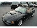 Black - Mustang GT Convertible Photo No. 1
