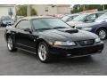 Black 2004 Ford Mustang Gallery