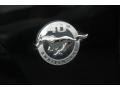 2004 Ford Mustang GT Convertible Badge and Logo Photo