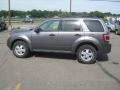 2009 Sterling Grey Metallic Ford Escape XLT 4WD  photo #5