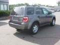 2009 Sterling Grey Metallic Ford Escape XLT 4WD  photo #7