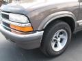 1998 Medium Beige Mystique Metallic Chevrolet Blazer LS  photo #5