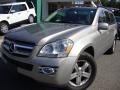 Pewter Metallic - GL 450 Photo No. 1