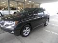 Truffle Brown Mica - RX 350 AWD Photo No. 1