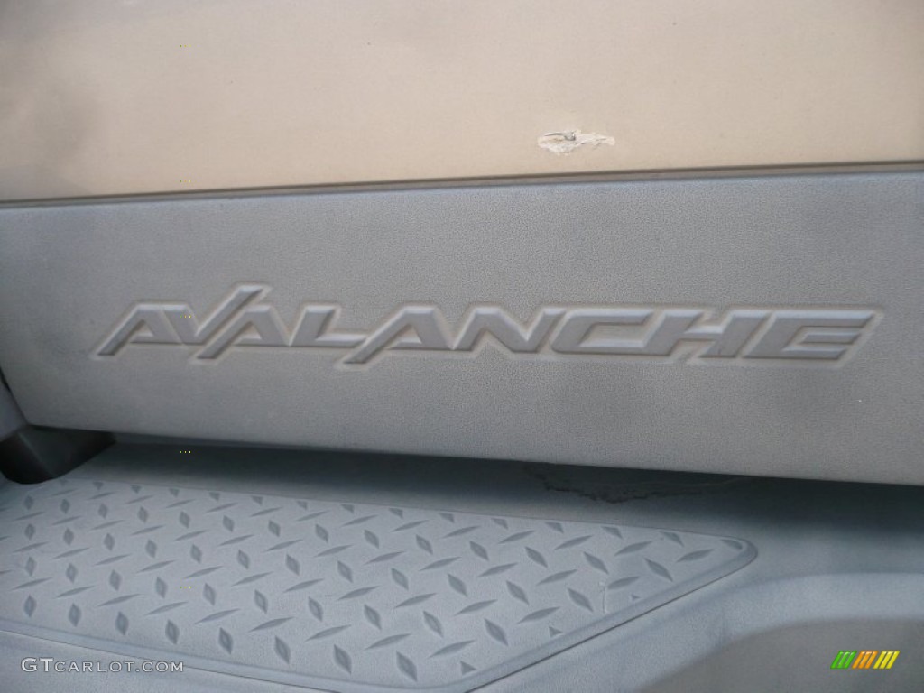 2002 Avalanche 4WD - Light Pewter Metallic / Graphite photo #14