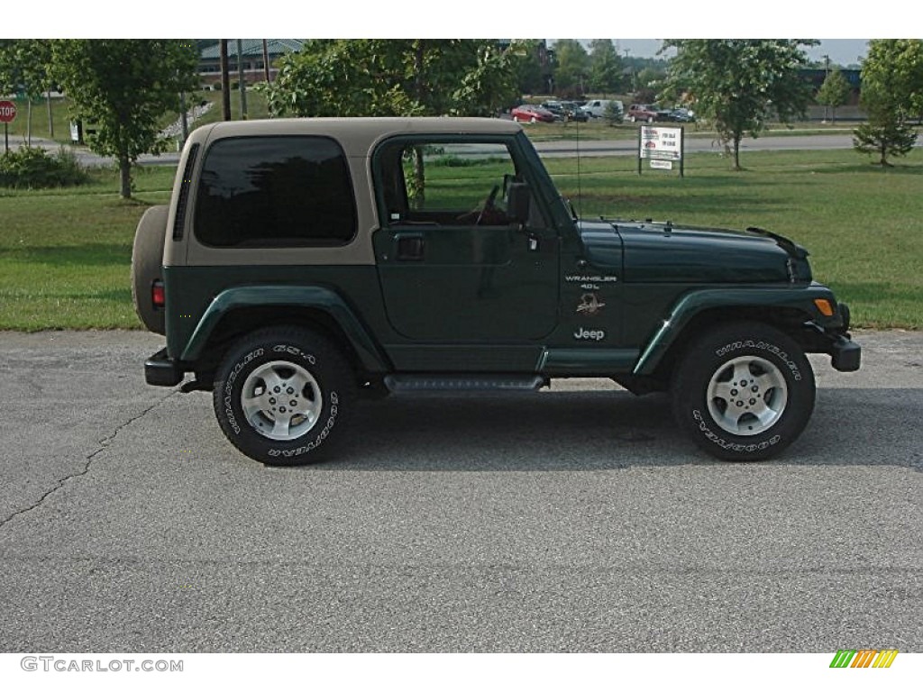 2001 Wrangler Sahara 4x4 - Forest Green / Camel/Dark Green photo #2