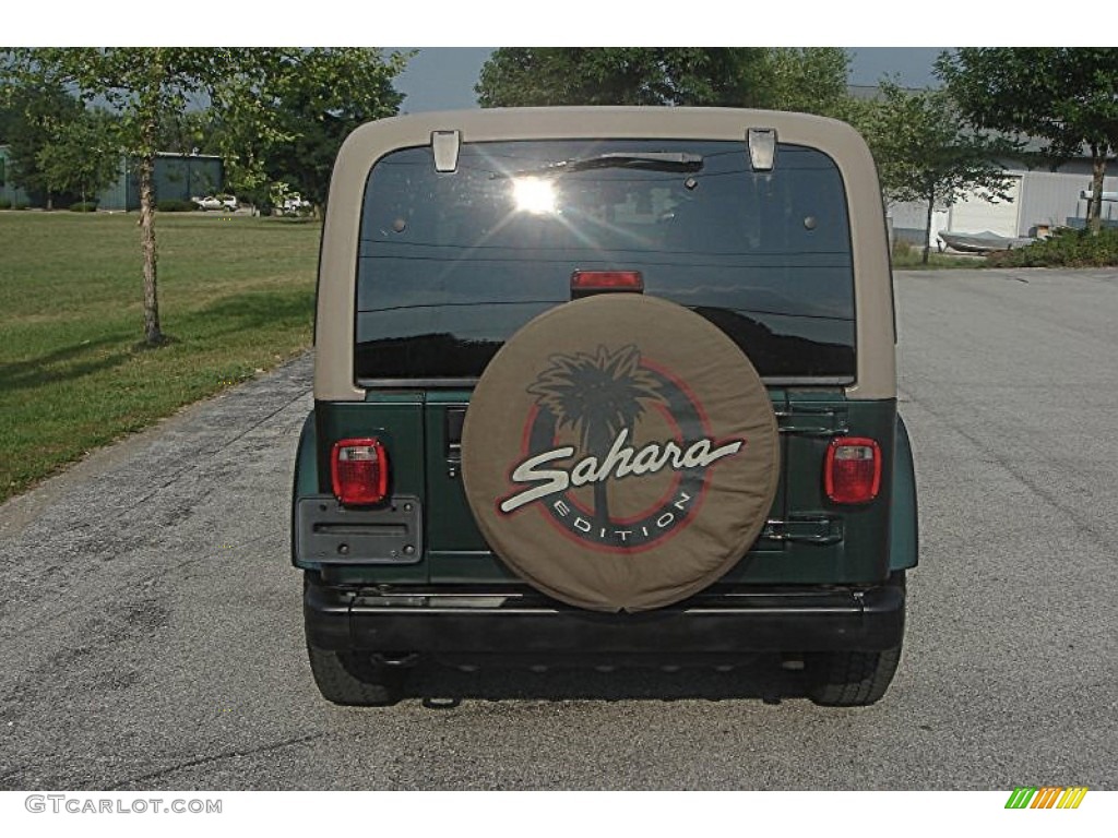 2001 Wrangler Sahara 4x4 - Forest Green / Camel/Dark Green photo #4