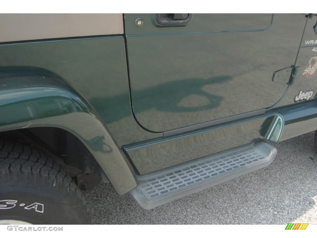 2001 Wrangler Sahara 4x4 - Forest Green / Camel/Dark Green photo #7