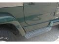 Forest Green - Wrangler Sahara 4x4 Photo No. 7
