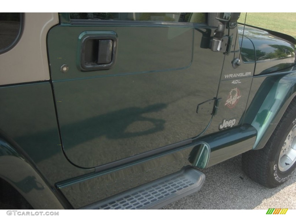 2001 Wrangler Sahara 4x4 - Forest Green / Camel/Dark Green photo #8
