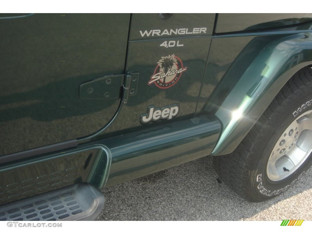 2001 Wrangler Sahara 4x4 - Forest Green / Camel/Dark Green photo #9