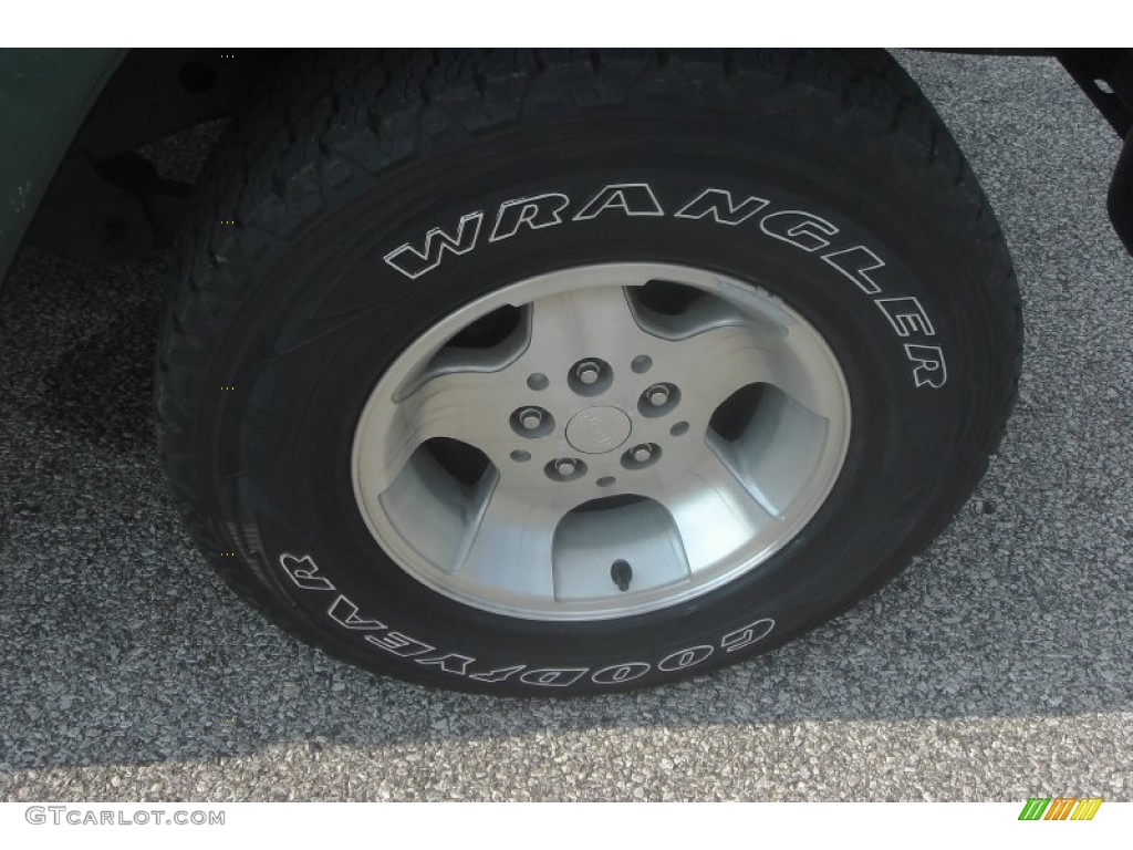 2001 Wrangler Sahara 4x4 - Forest Green / Camel/Dark Green photo #12