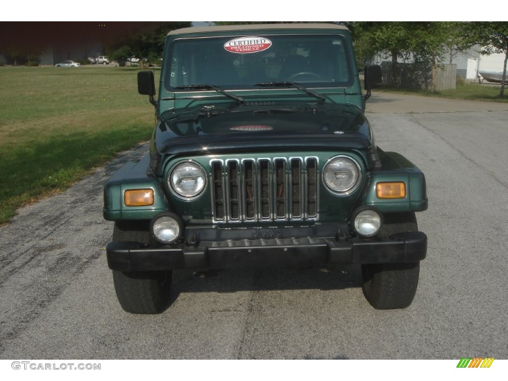 2001 Wrangler Sahara 4x4 - Forest Green / Camel/Dark Green photo #34
