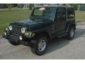 2001 Forest Green Jeep Wrangler Sahara 4x4  photo #36