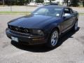 2006 Black Ford Mustang V6 Premium Convertible  photo #1