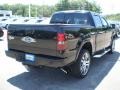 Black - F150 Harley-Davidson SuperCrew 4x4 Photo No. 5