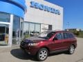 Dark Cherry 2009 Hyundai Santa Fe SE
