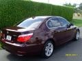 2010 Barbera Red Metallic BMW 5 Series 528i Sedan  photo #9