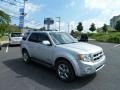 2008 Silver Metallic Ford Escape Limited 4WD  photo #1