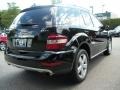 Black - ML 350 4Matic Photo No. 5
