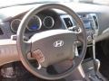 2010 Slate Blue Hyundai Sonata GLS  photo #9