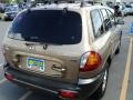 2004 Sandstone Hyundai Santa Fe LX 4WD  photo #2