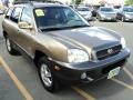 2004 Sandstone Hyundai Santa Fe LX 4WD  photo #11