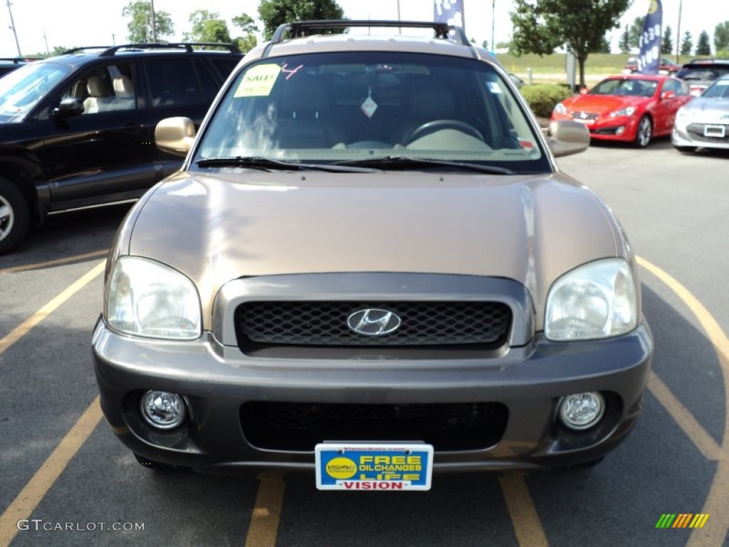 2004 Santa Fe LX 4WD - Sandstone / Beige photo #12