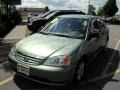 Galapagos Green - Civic LX Sedan Photo No. 1